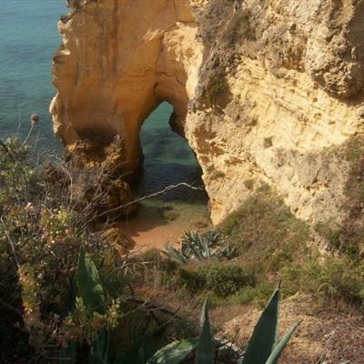 彩票平台wellcome