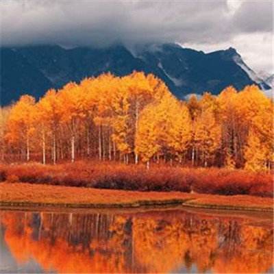 亚博体育(中国)官方网站