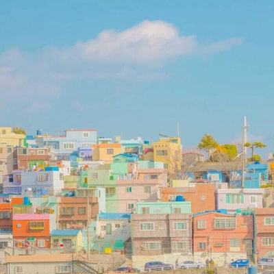 永盈会下载手机版